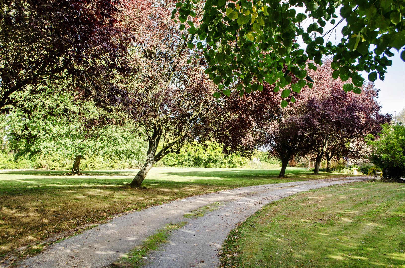 driveway.jpg